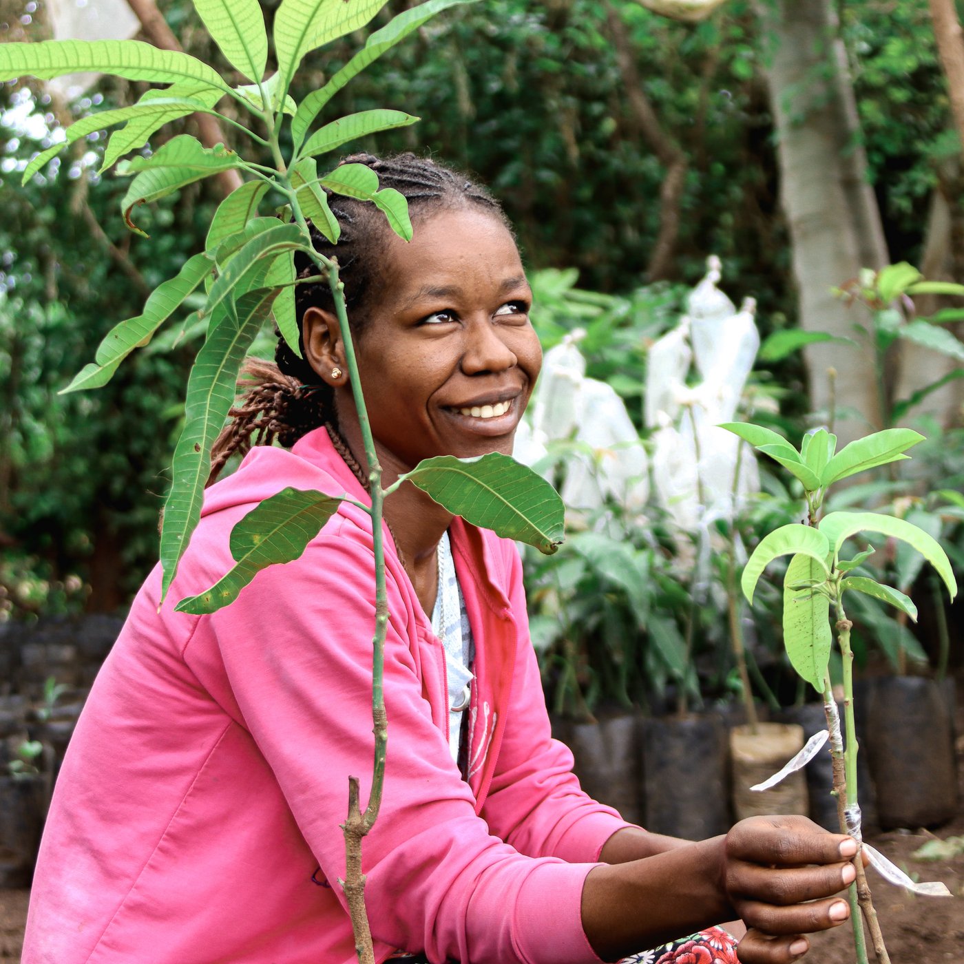 Osoba sedi napolju i drži malu biljku sa zelenim listovima. Osoba nosi duks s kapuljačom i pantalone sa šarom. U pozadini se vidi još zelenih biljaka i drveća.