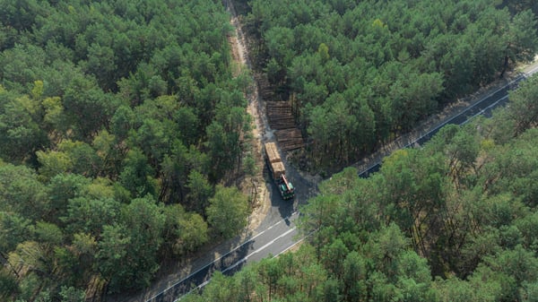 Una foto dall'alto mostra un camion che trasporta tronchi su una strada stretta in mezzo a una foresta fitta.