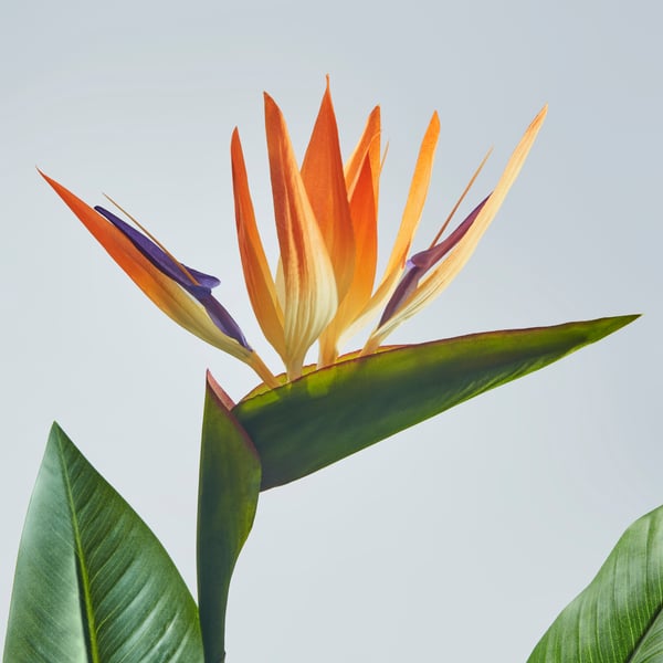 An in/outdoor Bird of paradise FEJKA artificial potted plant