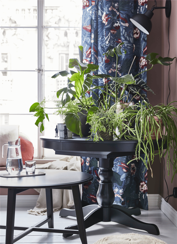 IKEA INGATORP extendable table and KRAGSTA rounded coffee table by the windowsill.