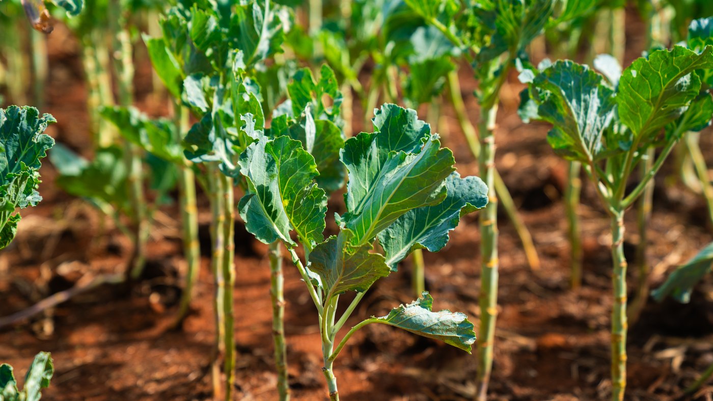 Visit the IKEA Foundation