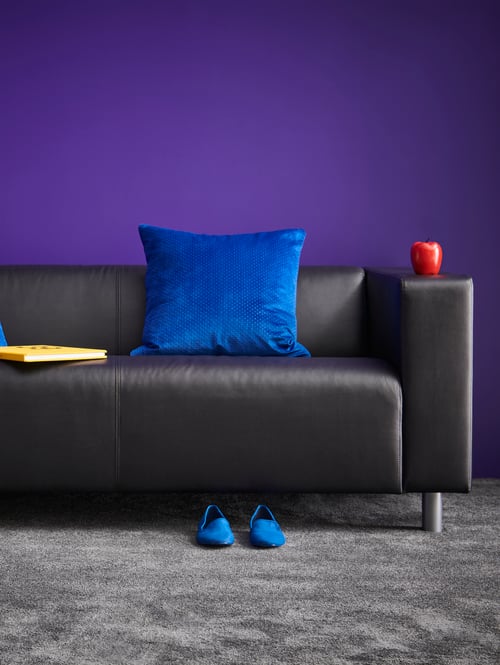 Living room with purple walls, black two-seat sofa, cushion cover, grey low pile rug, blue shoes, yellow book and apple.