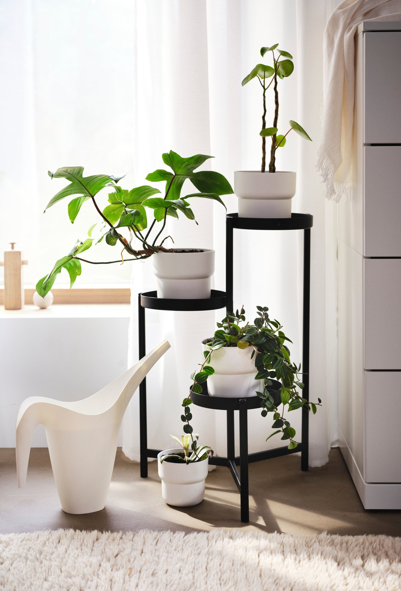 A white IKEA PS 2002 watering can stands beside a black OLIVBLAD plant stand holding plants in white FÖRENLIG plant pots.