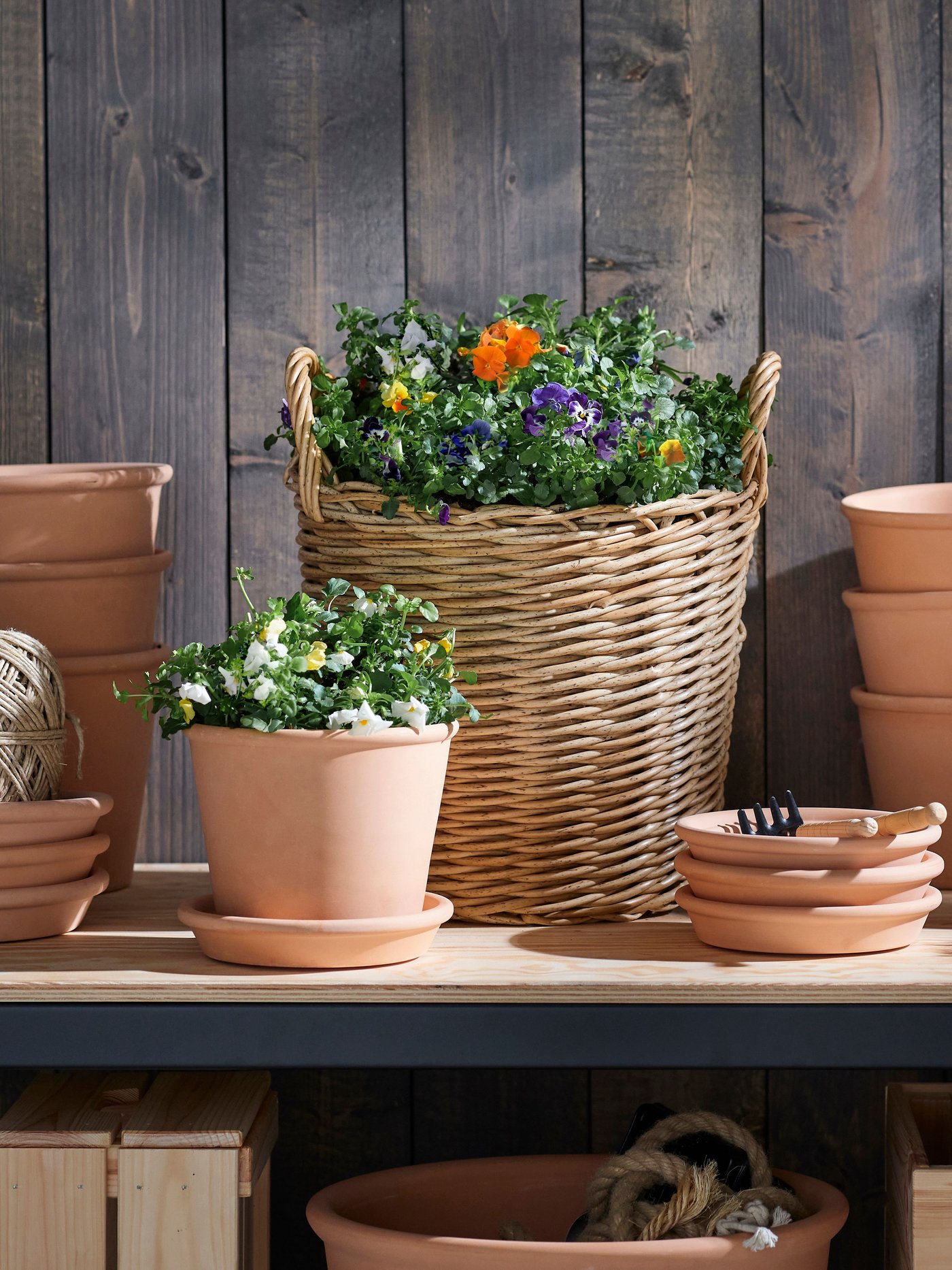 An in/outdoor terracotta MUSKOTBLOMMA plant pot with saucer