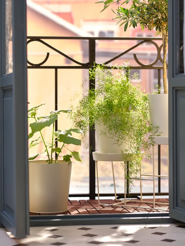 Ett dörrpar är öppet ut mot en balkong och i närbild syns krukor och piedestal ur serien VITLÖK i vitbeige färg.