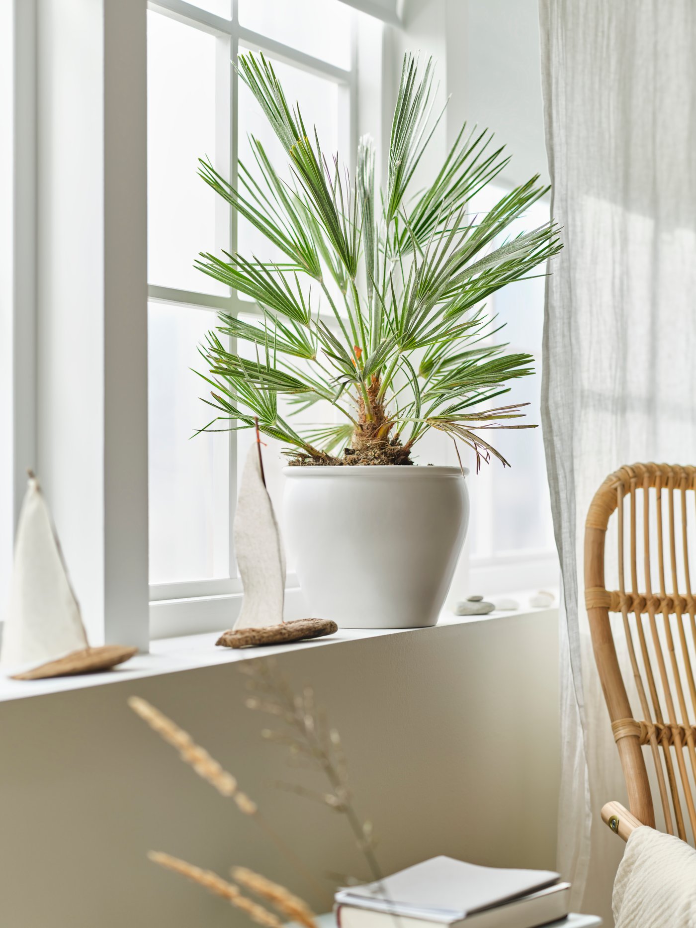 A white ceramic plant pot with a light green plant placed in a white window. Small deco objects and a sheer white curtain.