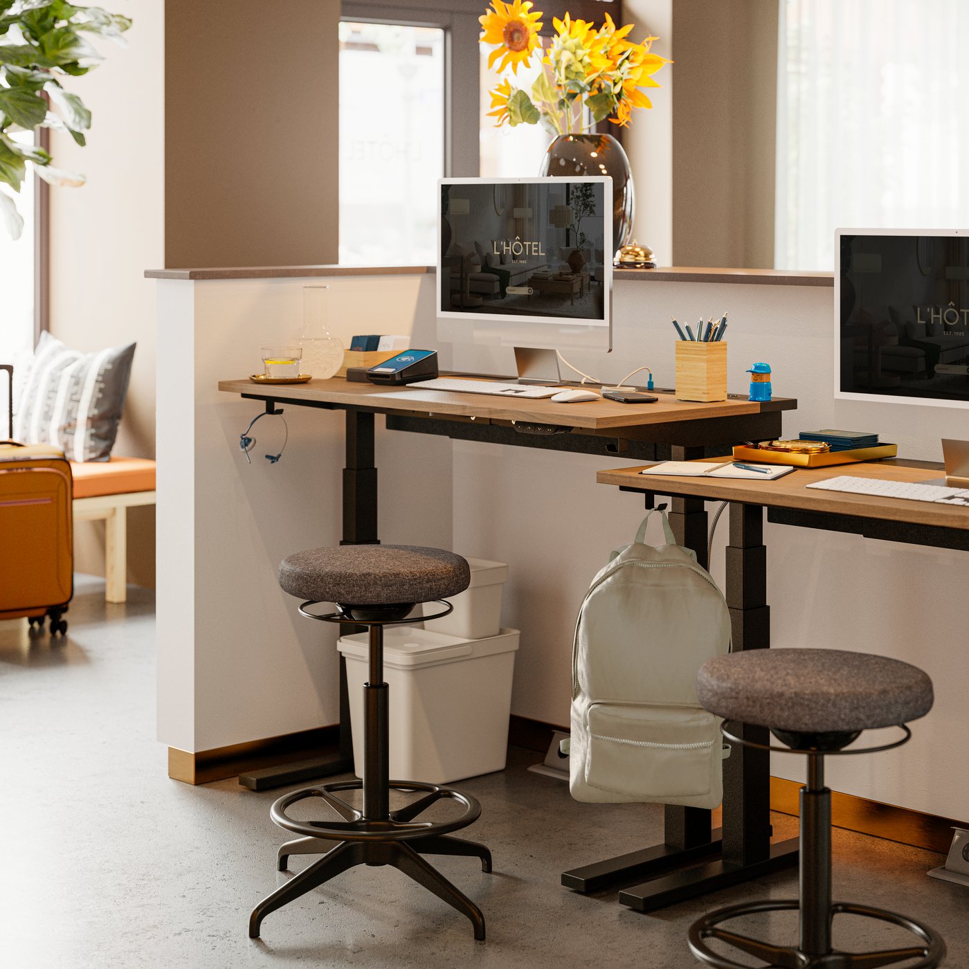 View from staff in a reception office featuring two black MITTZON sit/stand desks in electric walnut veneer near a window.