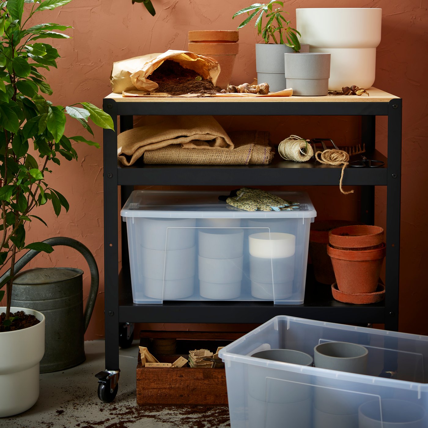 Une boîte SAMLA transparente