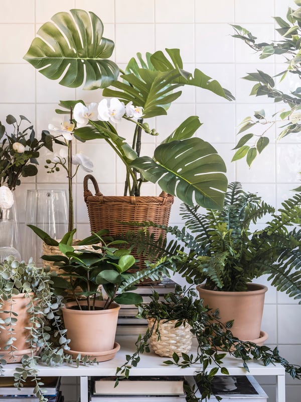 An in/outdoor terracotta MUSKOTBLOMMA plant pot with saucer