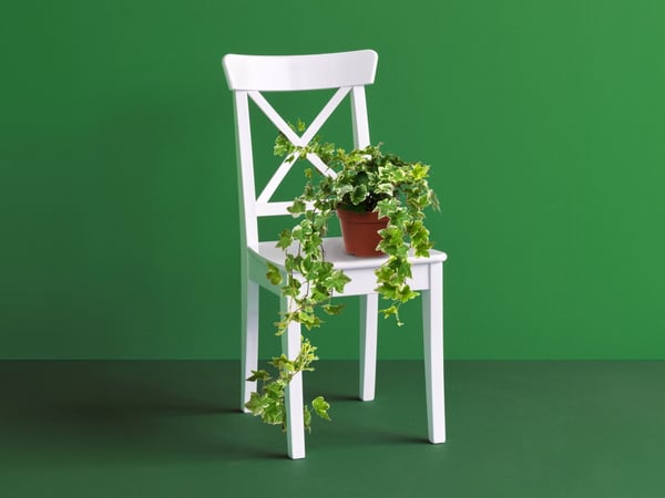 White chair with a plant on top and a green background