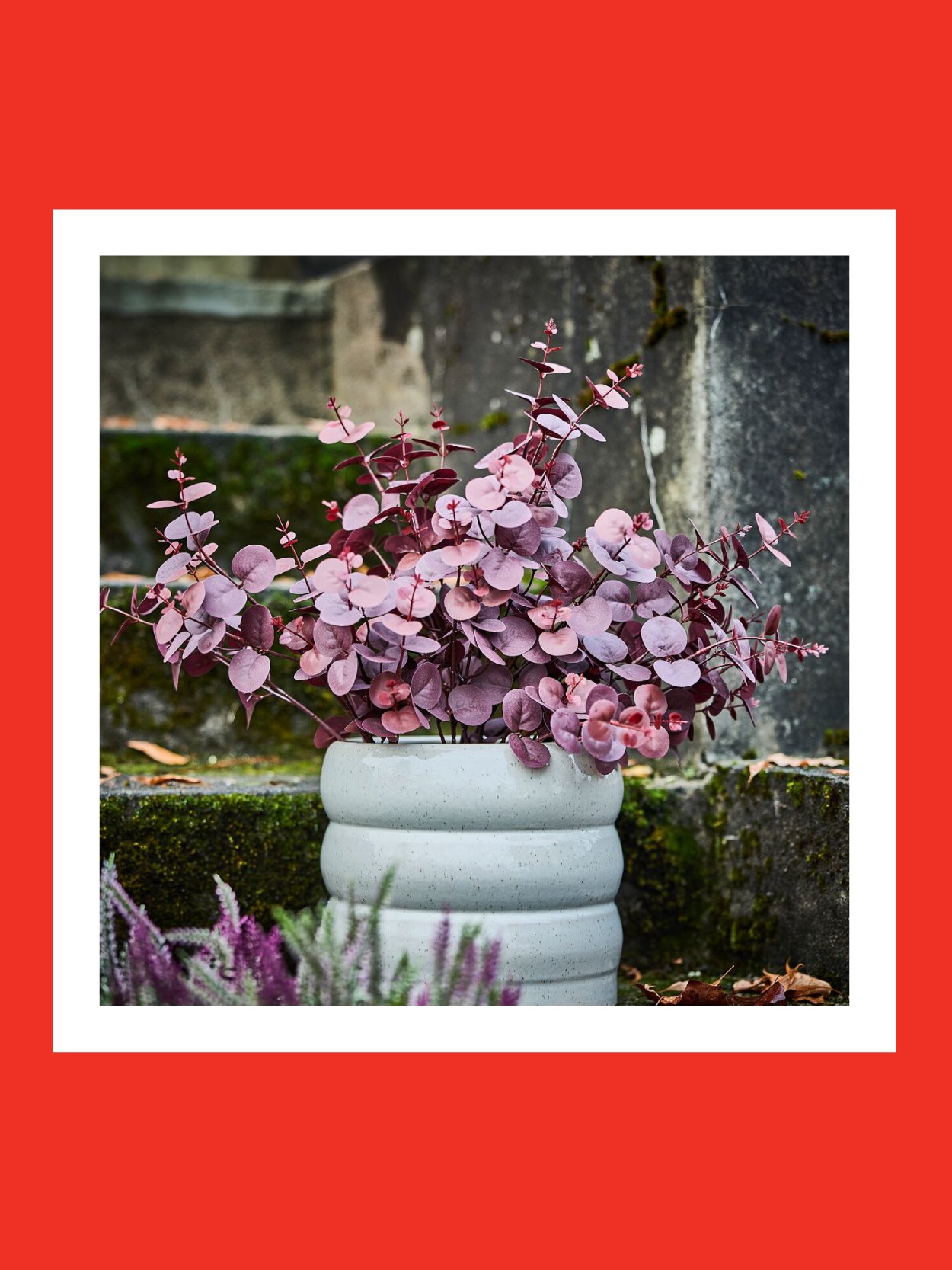 Up to 70% off* on plant pots