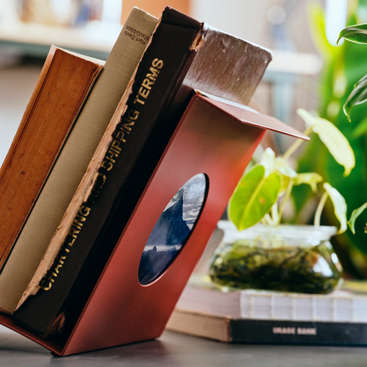 KOMPISHÄNG reggilibri rosso con alcuni libri