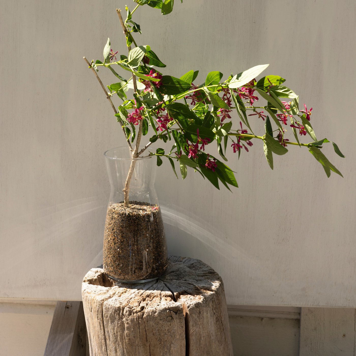 Fyll vasen med sand eller stein før du fyller opp med vann.