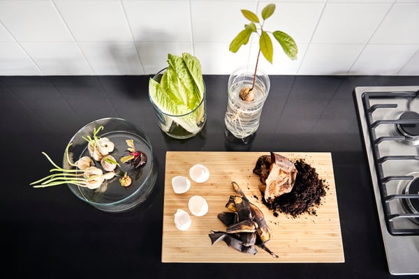 Æggeskaller og kaffegrums ligger på et skærebræt af træ ved siden af spirende hvidløg og løg i et cylinderformet glas, et slattent salathoved står i en glasvase med lidt vand i, og en avocadosten spirer i en beholder af plast.