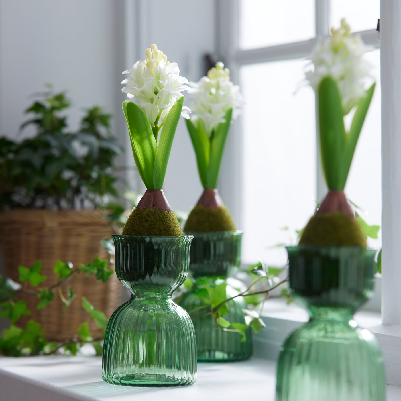Kolme valkoista HYACINTHUS-ruukkukasvia on vihreissä VINTERFINT-maljakoissa.