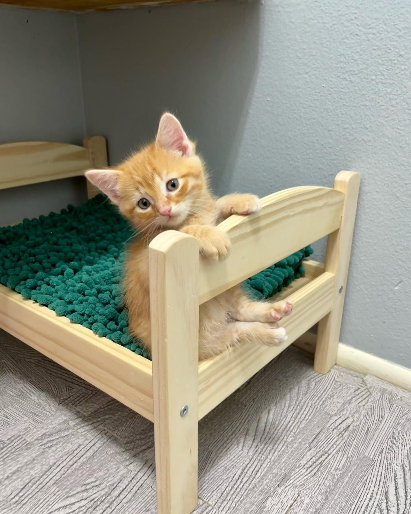 ikea doll bed for rabbits