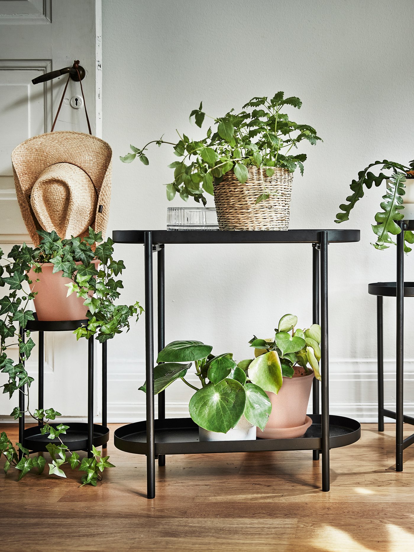 An in/outdoor black OLIVBLAD plant stand in the hallway