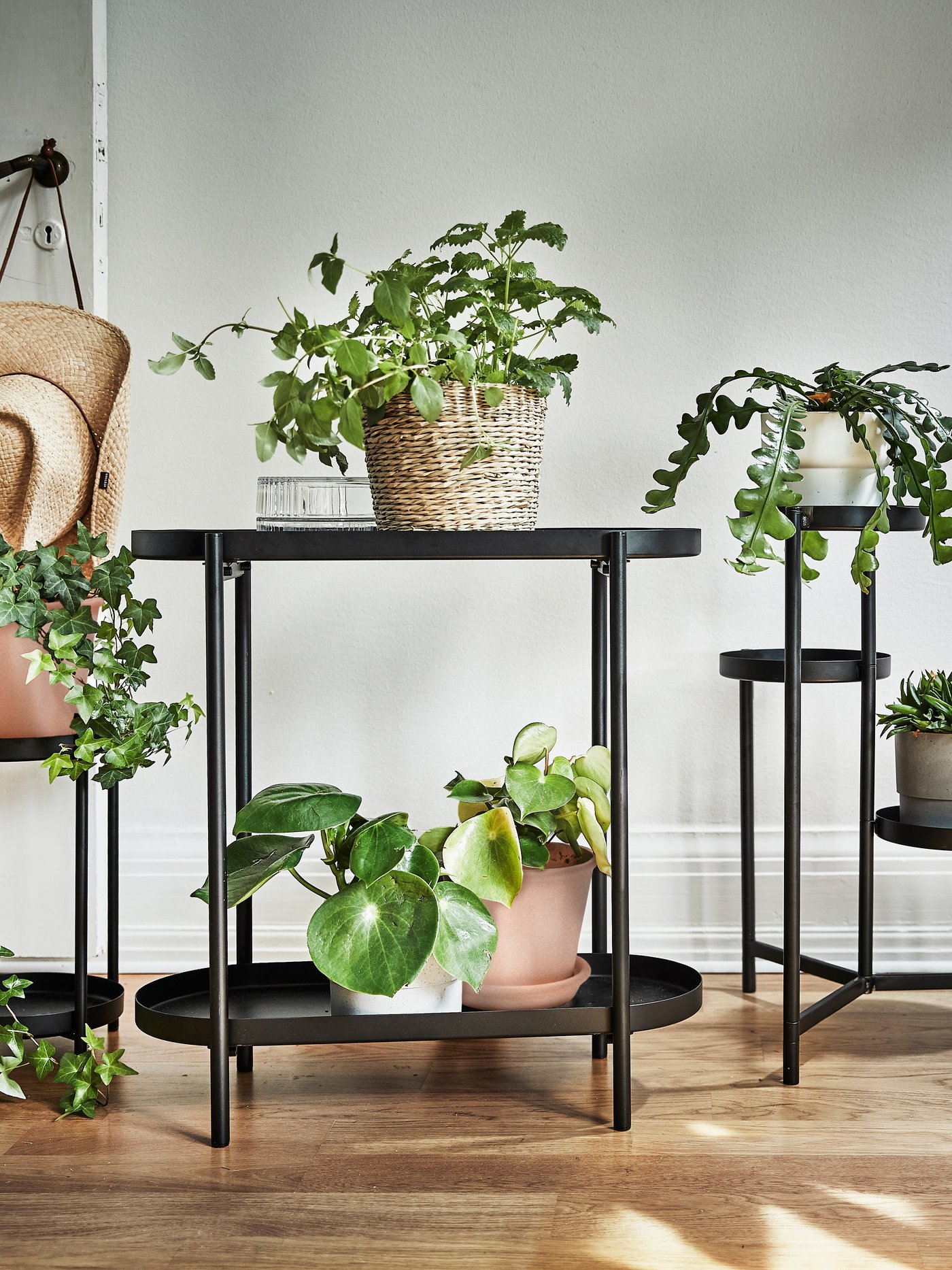 An in/outdoor black OLIVBLAD plant stand in the hallway