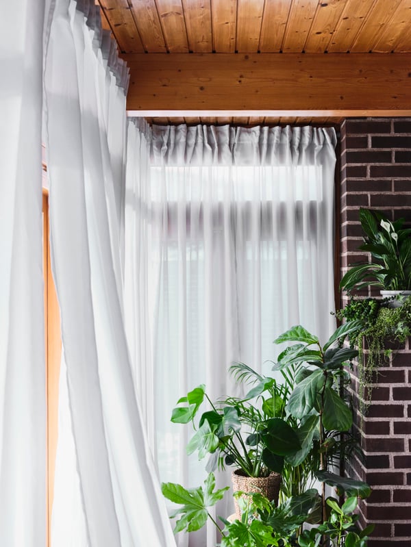 Windows with light, semi-transparent and air-purifying GUNRID curtains, a wooden ceiling, a brick wall and green plants.