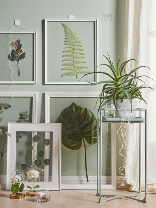 Cadres EDSBRUK avec des plantes vertes derrière un piédestal pour plantes et des cloches en verre abritant des fleurs.