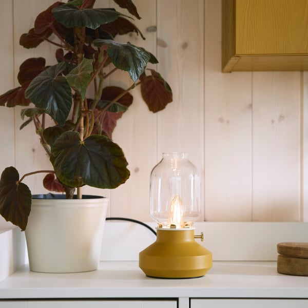 A dimmable dark yellow TÄRNABY table lamp stands next to a plant in a light grey-beige KÖRSBÄRSBJÖRK plant pot.