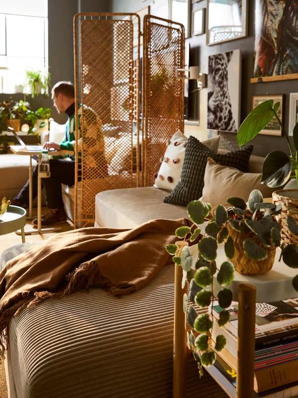 A living room with IKEA products and a man sitting at the back of the room with his computer.