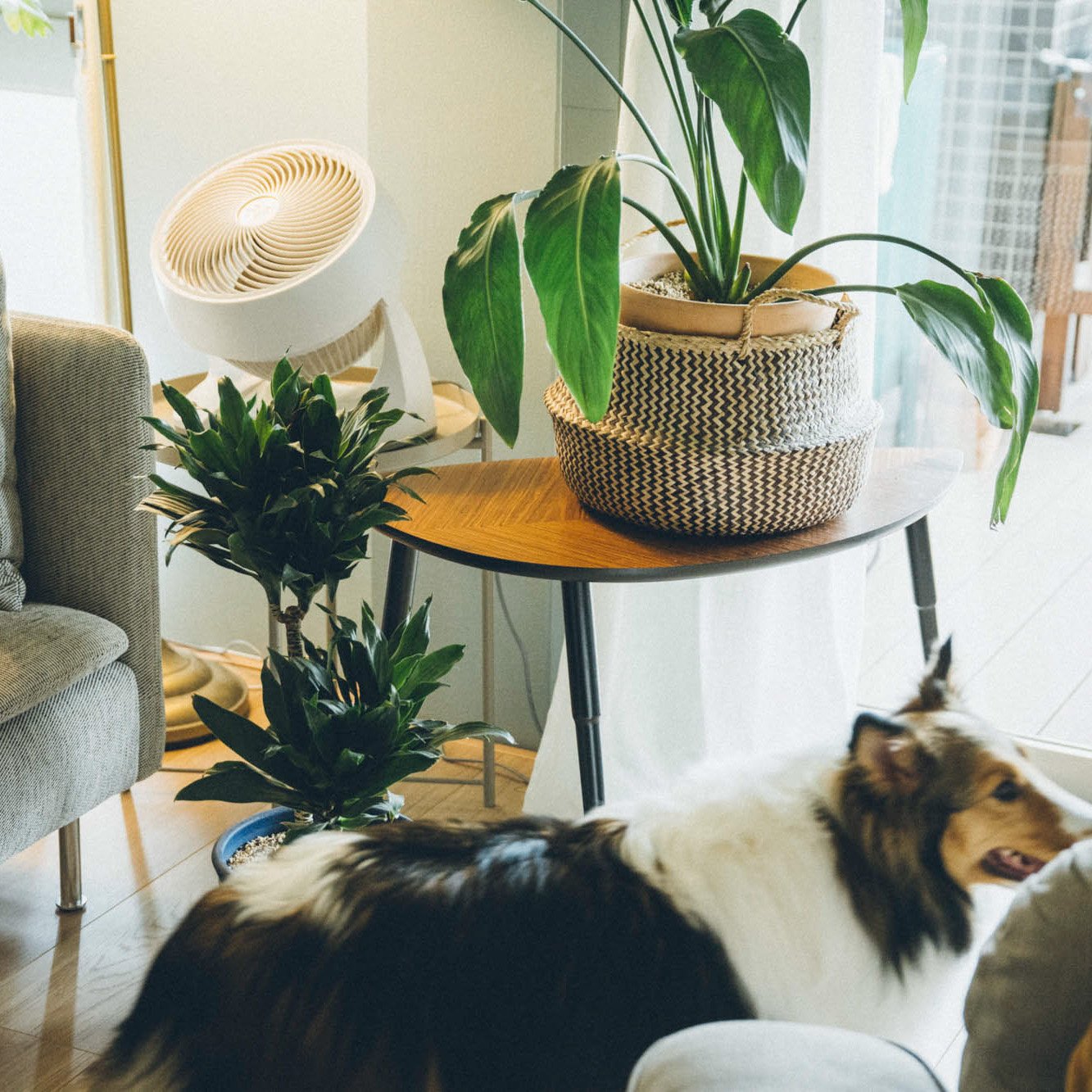 A seagrass/black KRALLIG basket