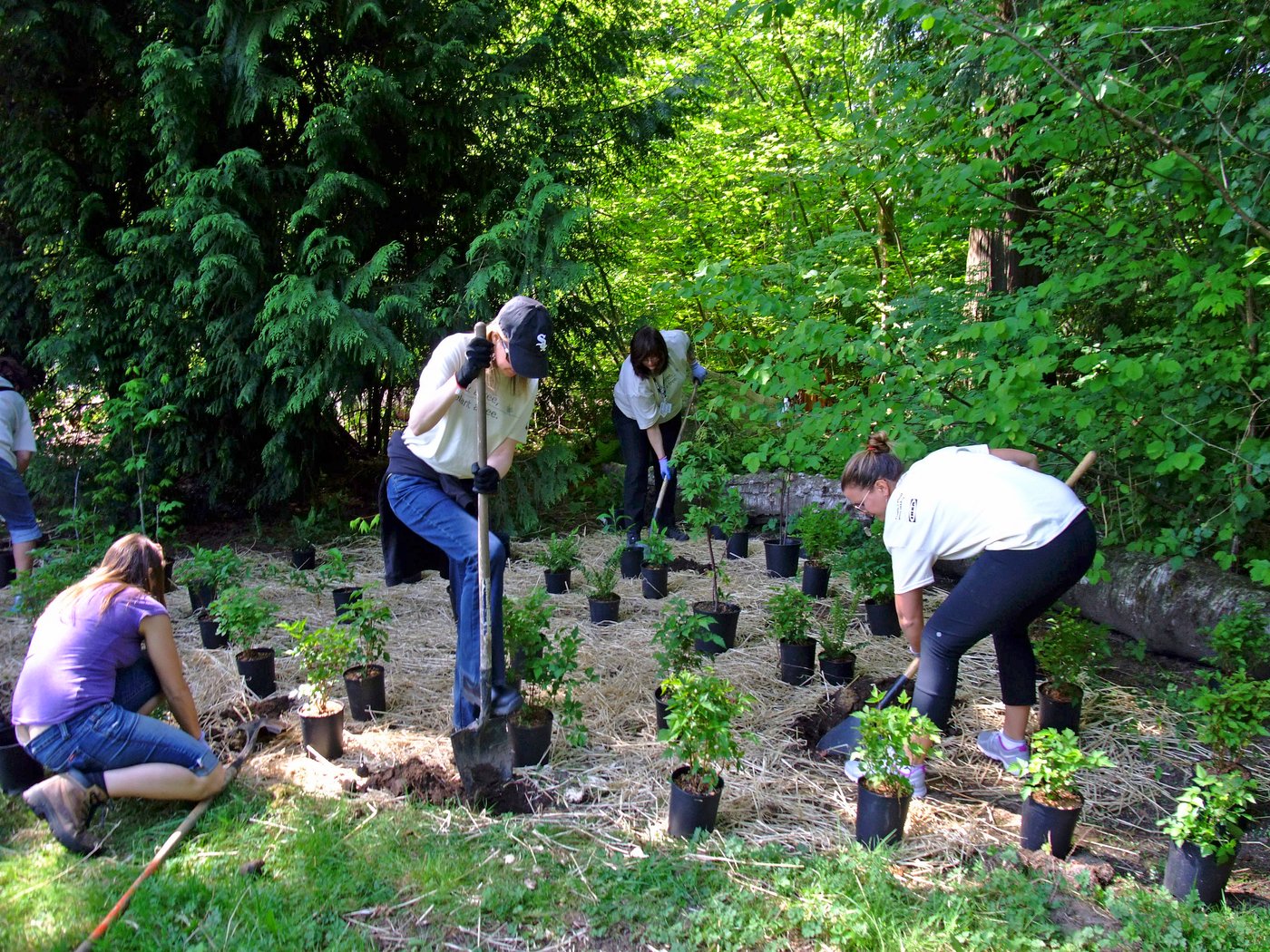 Grupa Ingka przedstawia najnowszy Raport Zrównoważonego Rozwoju. Polska liderem transformacji 
