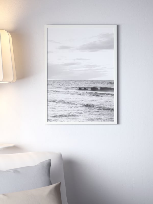 A white FISKBO frame