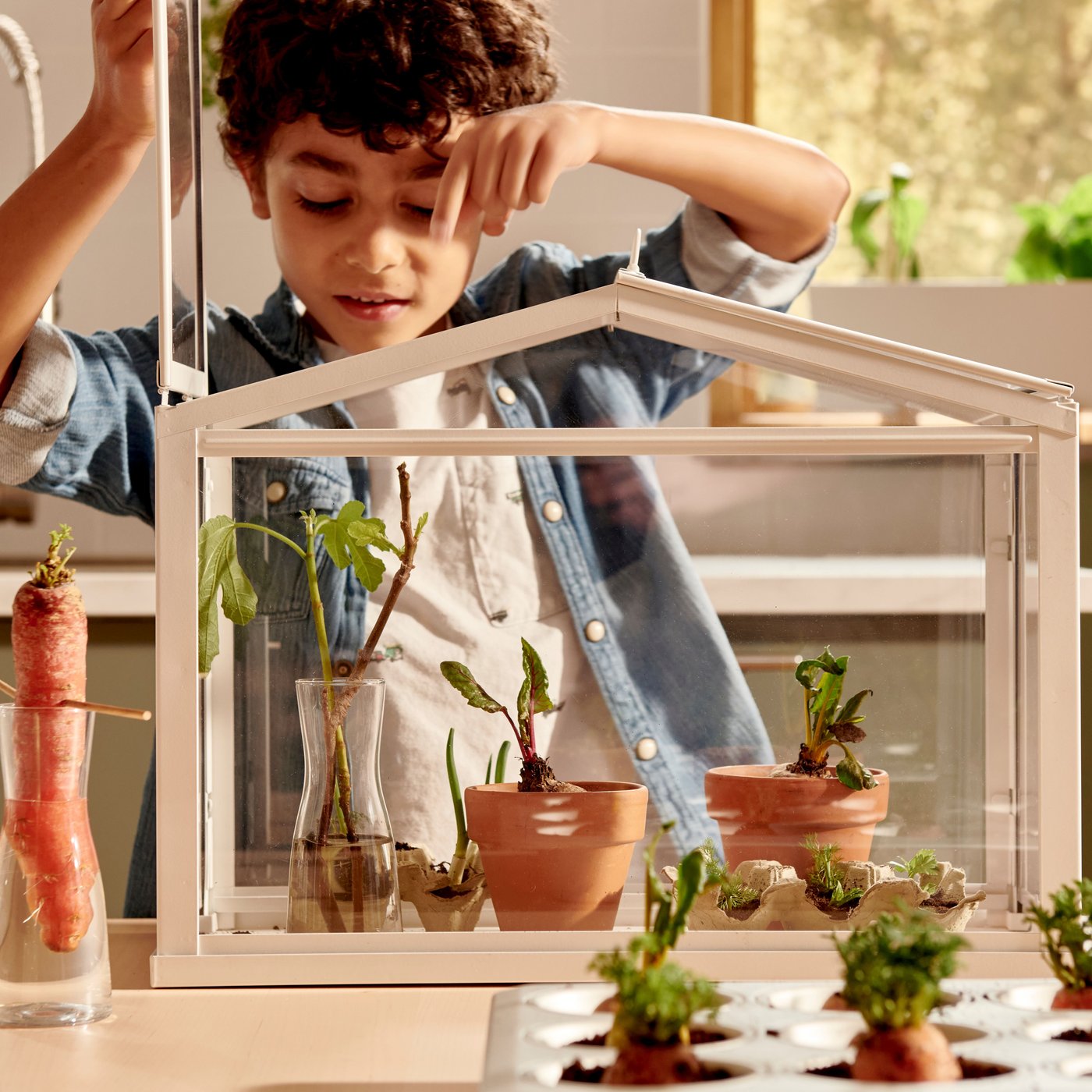 Ein Kind beobachtet kleine Pflanzen in einem SOCKER Gewächshaus. Daneben ist Gemüse in Gefässen mit Wasser oder in Erde zu sehen.