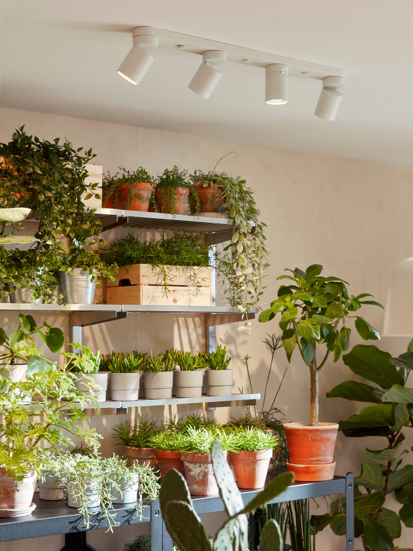 An in/outdoor/galvanised SOCKER plant pot