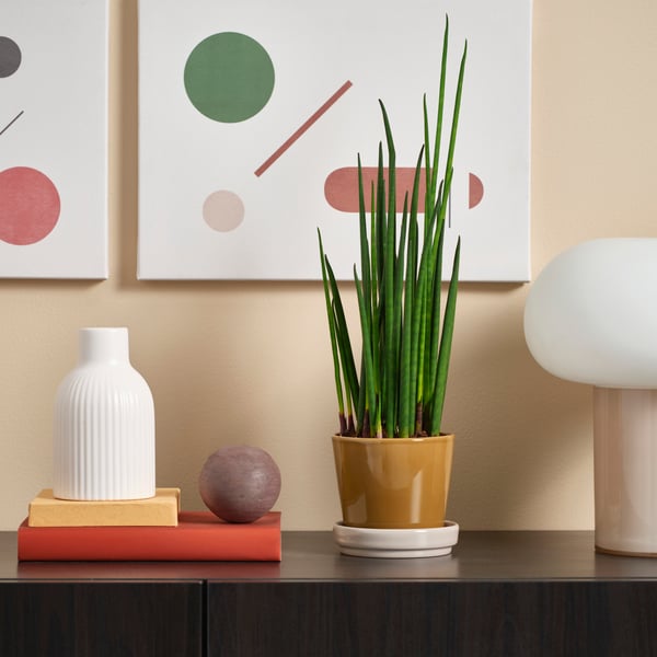 Dekoratives Arrangement auf dunkler Oberfläche mit abstrakter Wandkunst, weißer Vase, Deko-Kugel, orangefarbenem Buchstapel, grünem Pflanztopf auf weißer Untertasse und Lampe mit weißem Schirm und rosa Fuß.