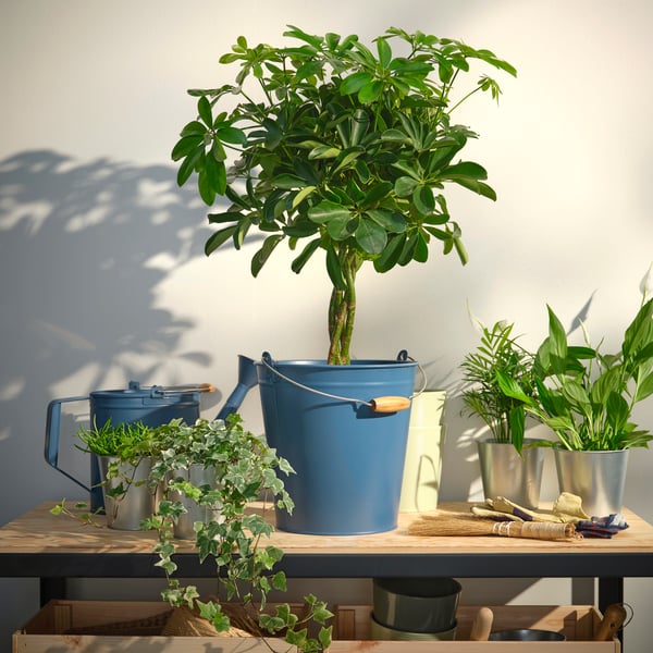 An in/outdoor/galvanised ÅKERBÄR plant pot