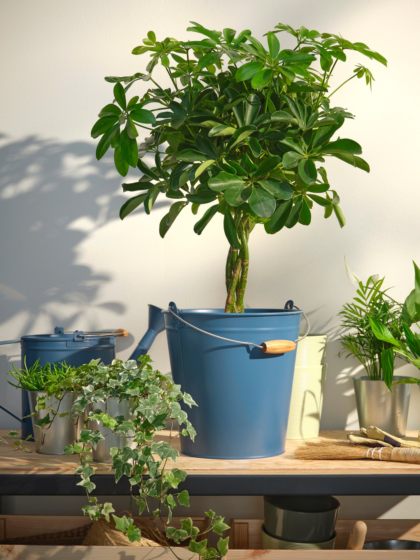 En indendørs/udendørs galvaniseret ÅKERBÄR urtepotte