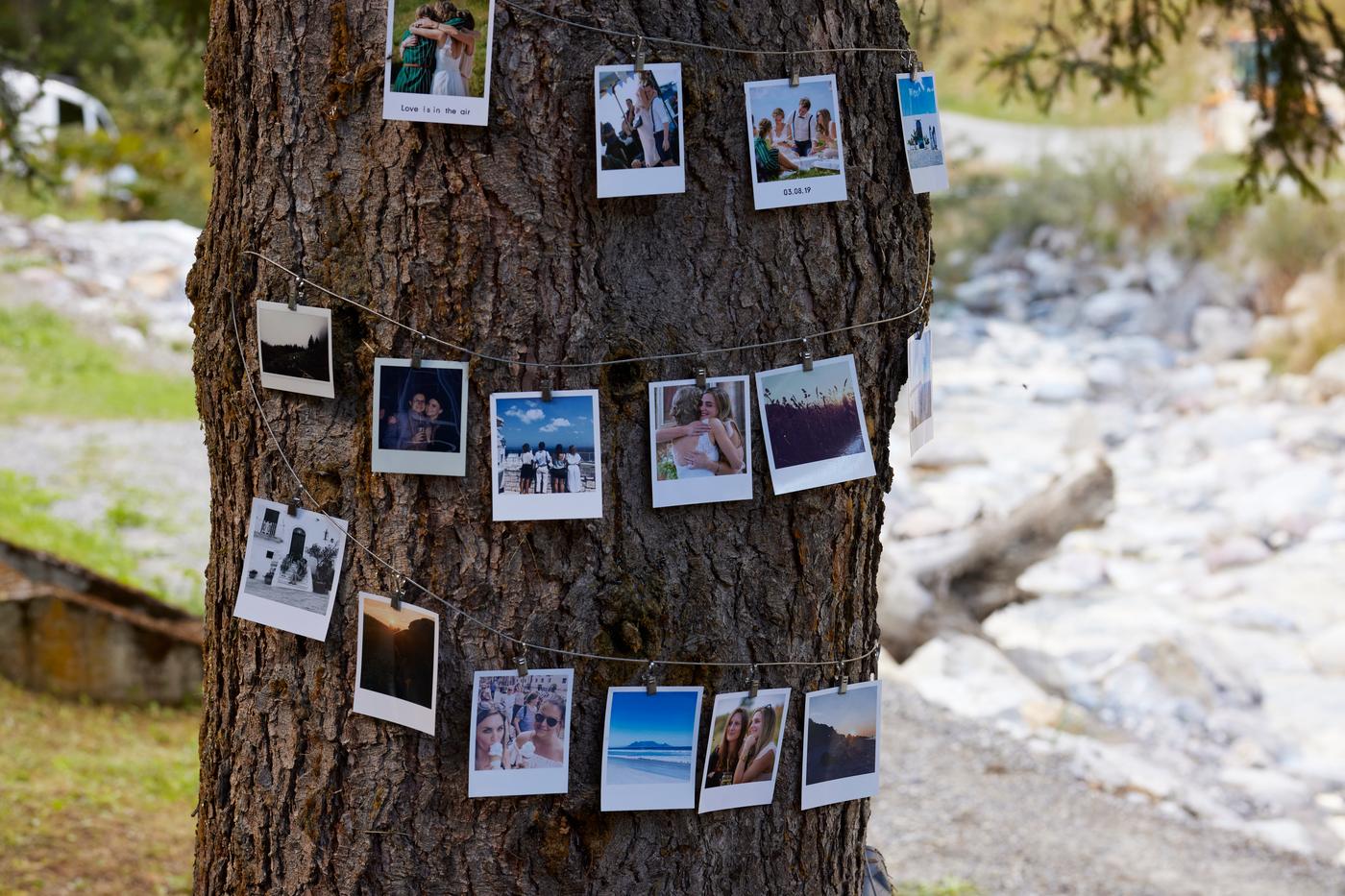 Baumstamm mit aufgehängten Sofortbildern als kreative Outdoor-Dekoration, im Hintergrund Flussbett und Natur.