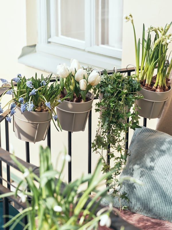 Gefühl Vorläufiger Name Waschmittel ikea hänge blumentopf sterben