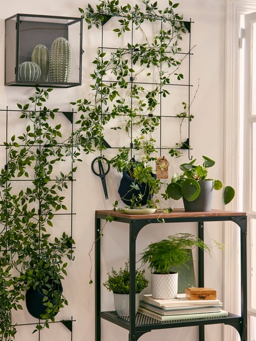 A black FJÄLLBO shelf unit and a display box and memo board used to highlight decorative green plants indoors.