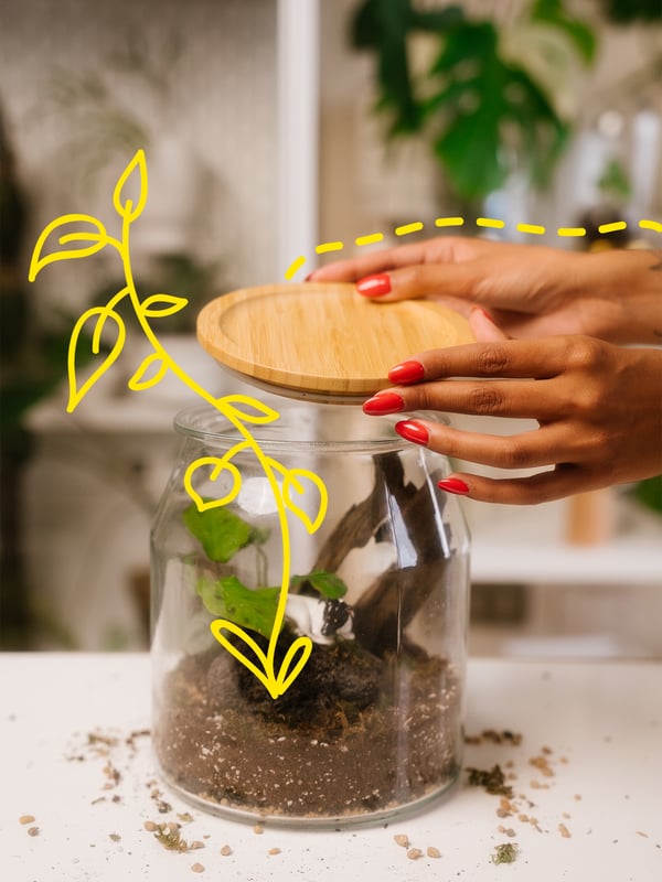 Una mà tapa un pot de vidre amb una tapa de bambú IKEA 365+.