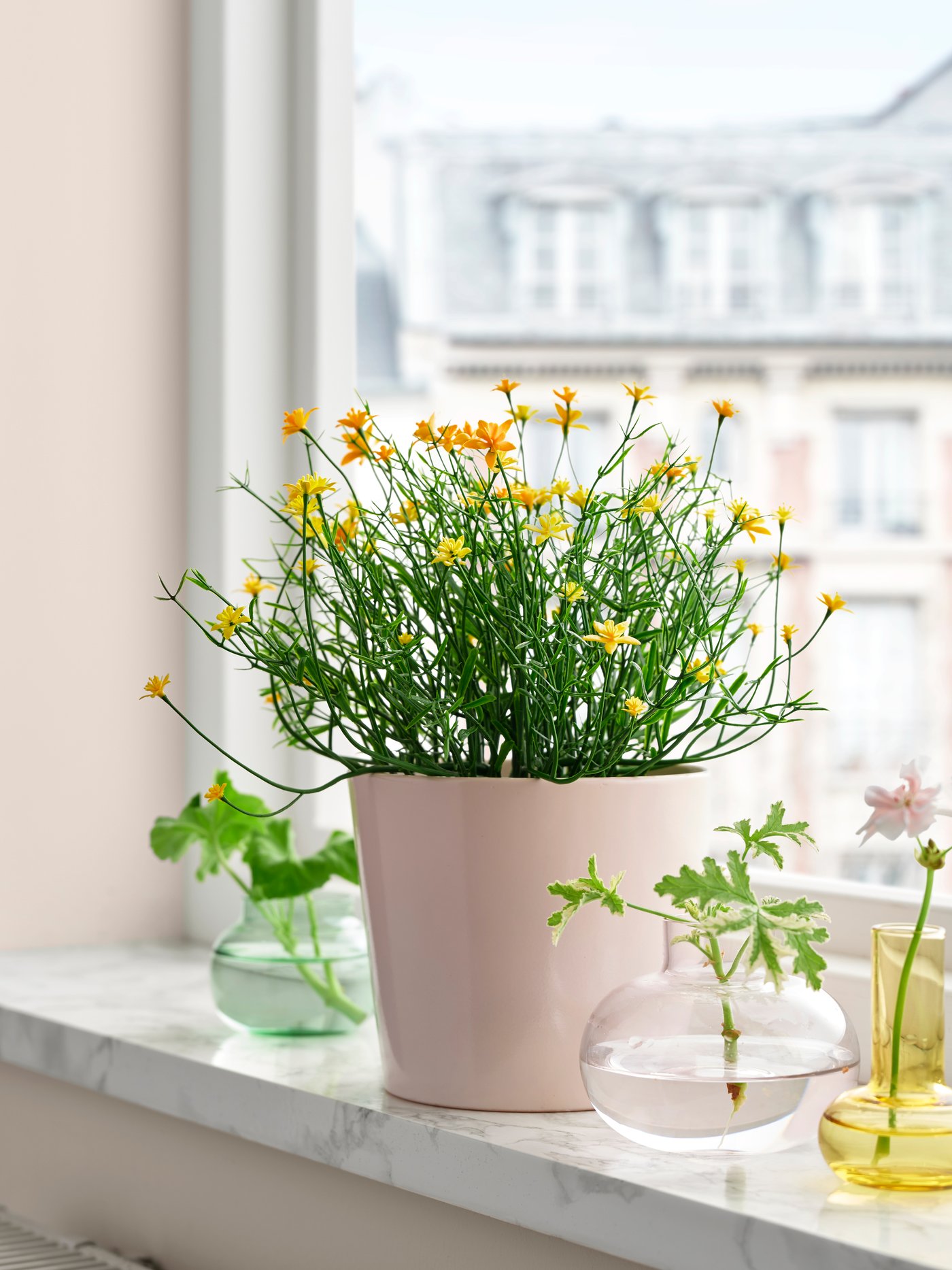 A light pink SOJABÖNA plant pot