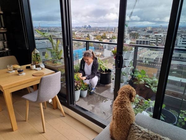 Yee tending to her balcony garden as her pet dog looks on from the sofa.