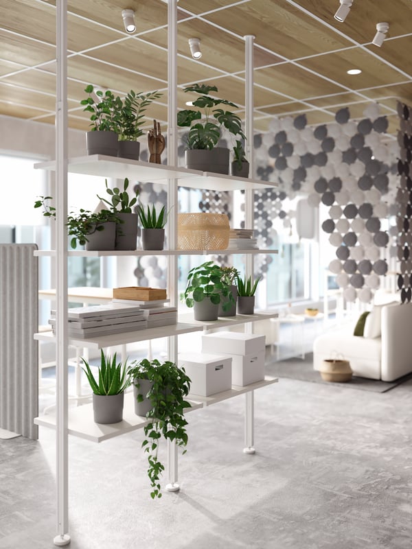 White shelves and posts used as a room divider with plenty of potted plants, books and white boxes on it.