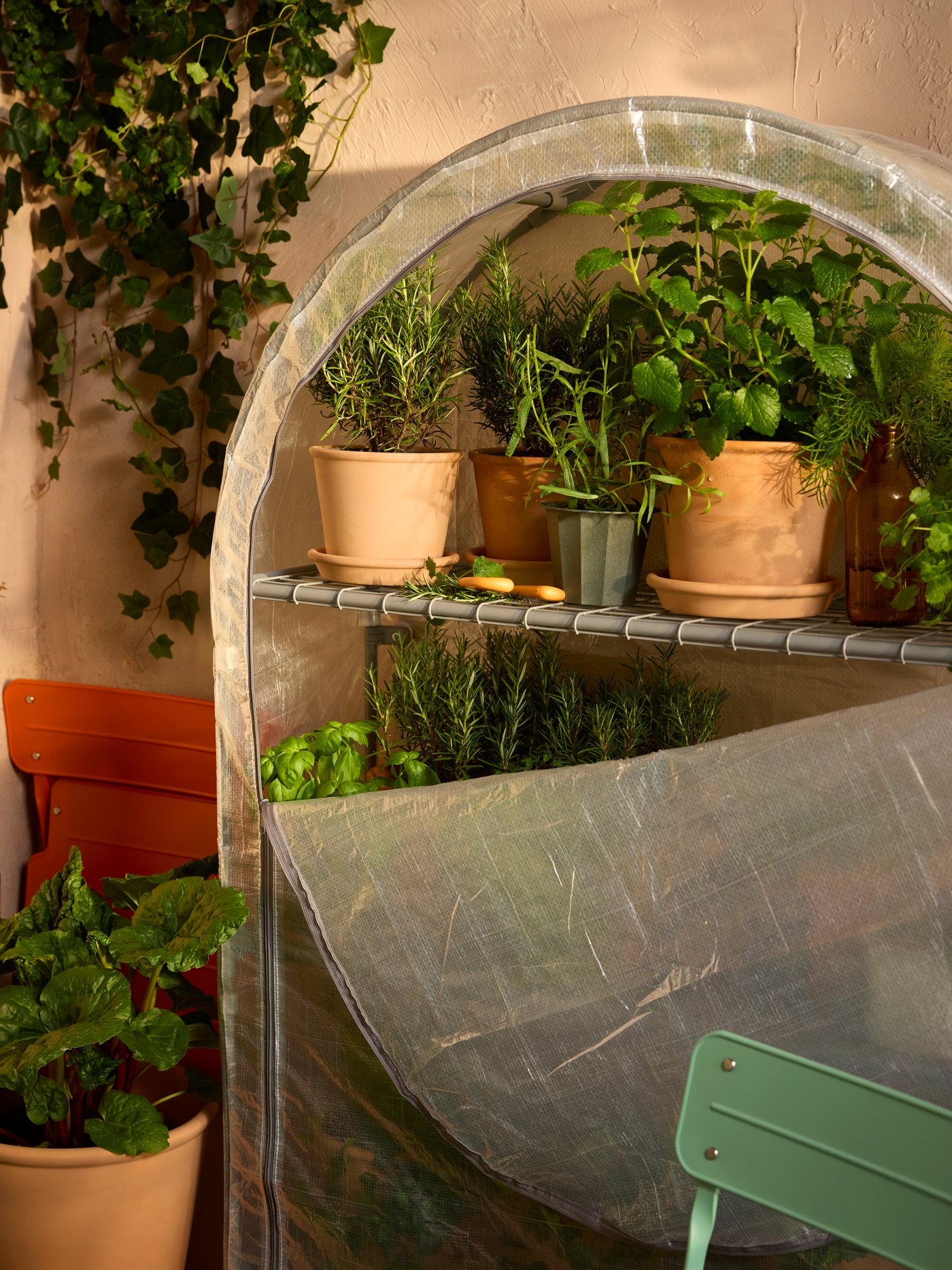 A balcony wall with a partly opened white and transparent ASPAREN greenhouse filled with plants in pots.