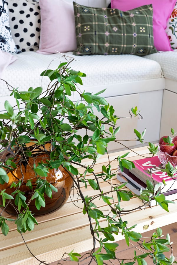 Brun STOCKHOLM vase med grønn plante på et stuebord i furu.