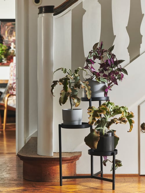 Leafy plants in NYPON and GRADVIS plant pots on a black OLIVBLAD plant stand, it in turn placed by the base of a staircase.
