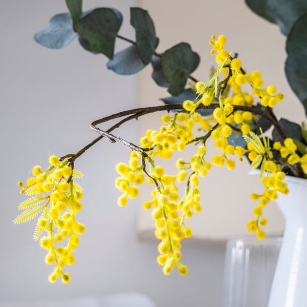 A Mimosa/yellow SVARTOXBÄR scented candle in glass