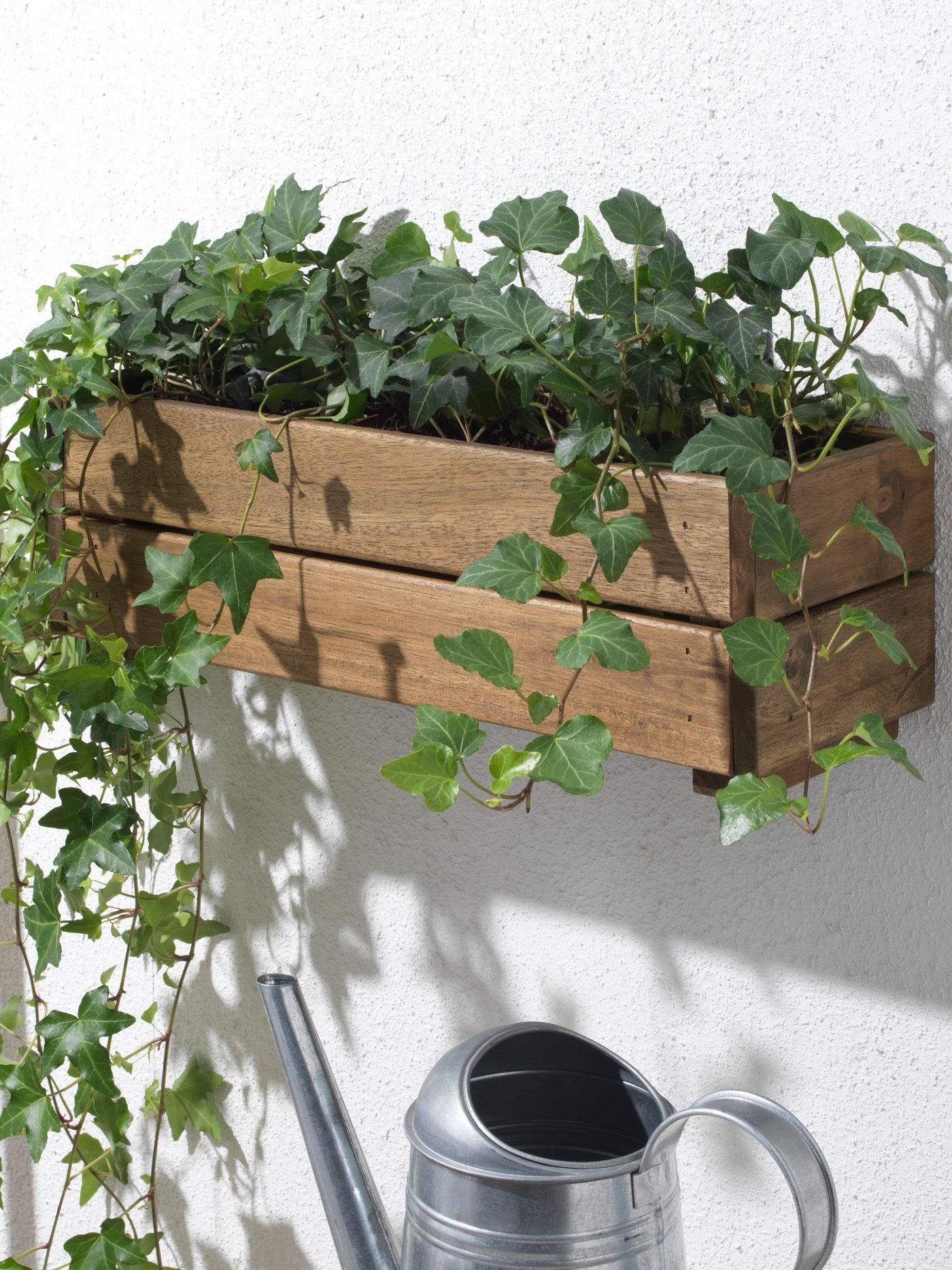 An outdoor acacia STJÄRNANIS flower box and HEDERA HELIX real plant.