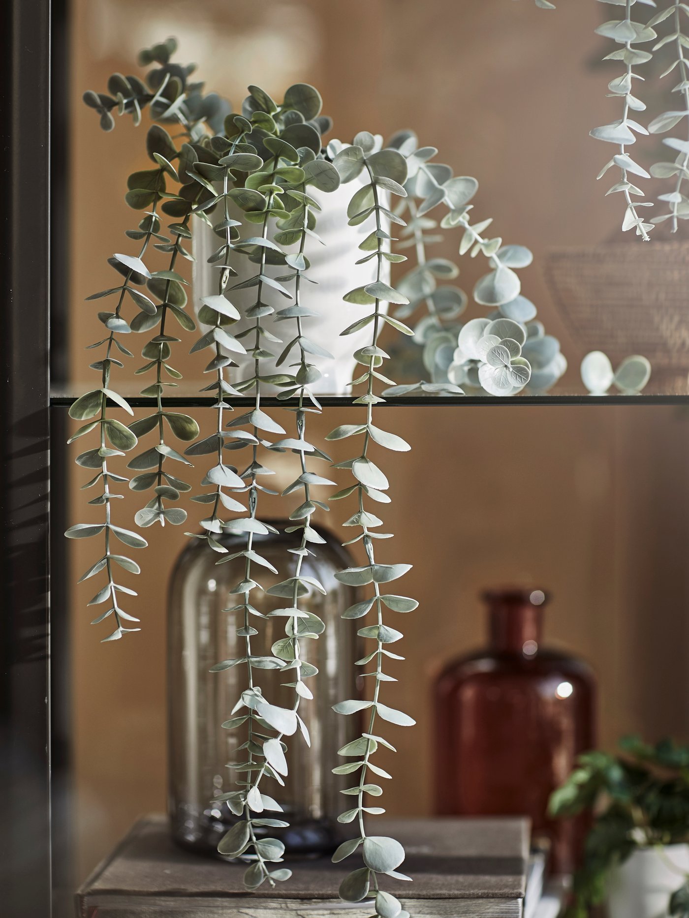 丸い緑の葉が垂れ下がる鉢植えがガラス棚に置かれ、近くに装飾用のボトルや本がある。