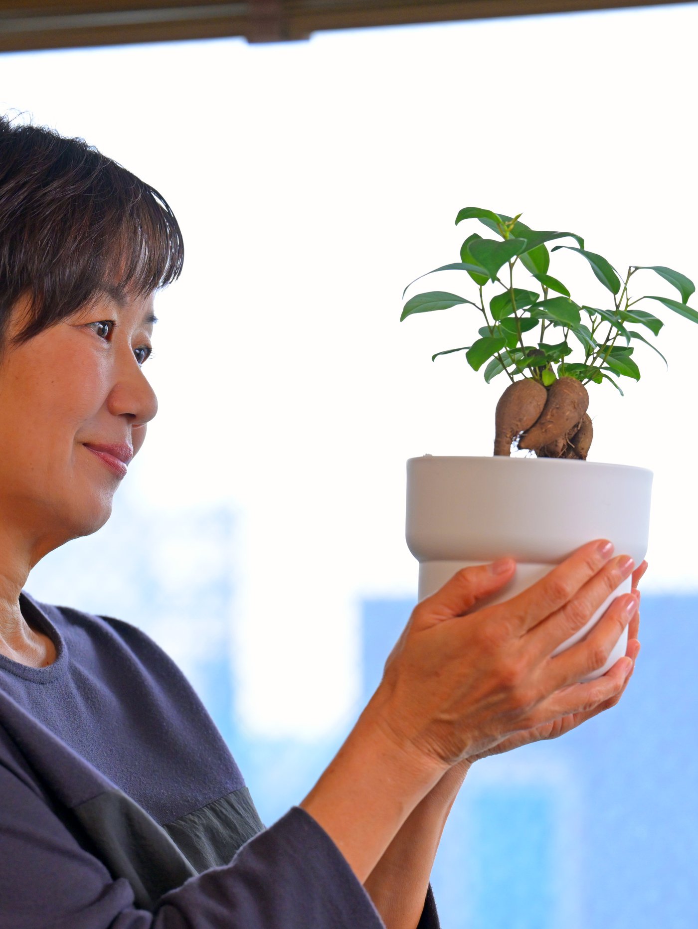 Une femme qui tient un cache-pot blanc avec un petit bonsaï à l’intérieur.