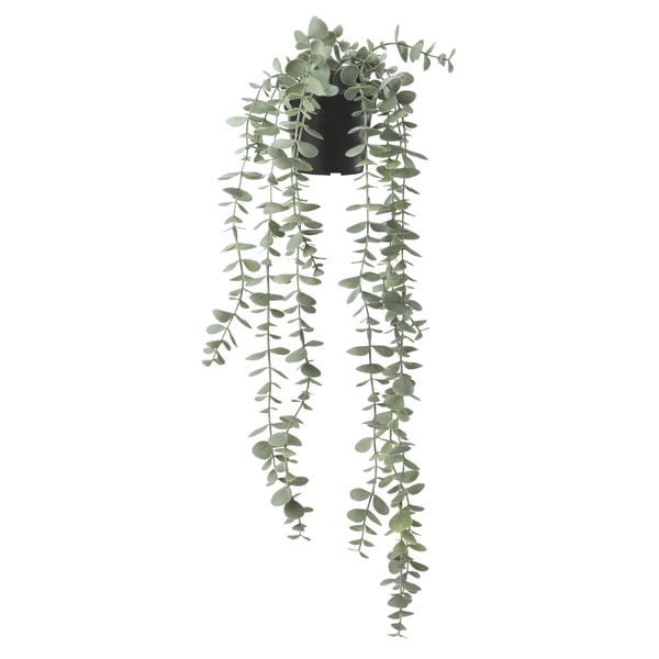 An in/outdoor hanging/eucalyptus FEJKA artificial potted plant in the NA