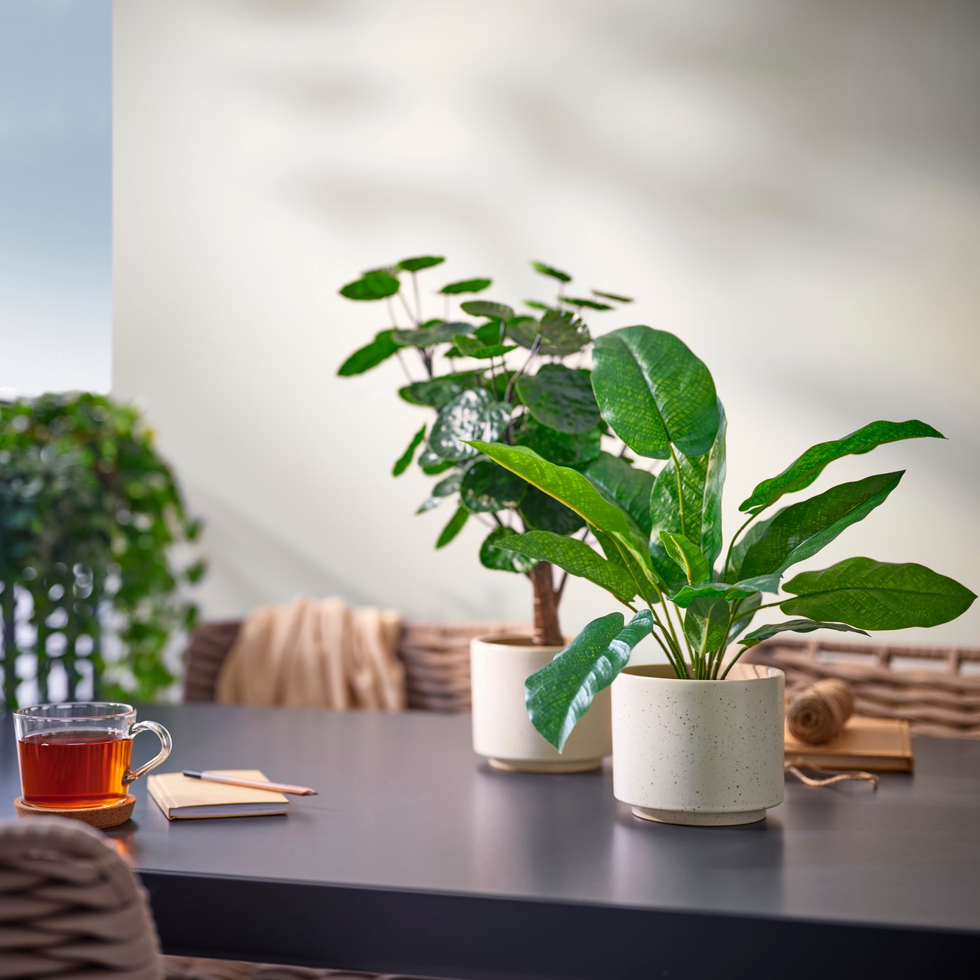 新登場のアイテムをチェック!